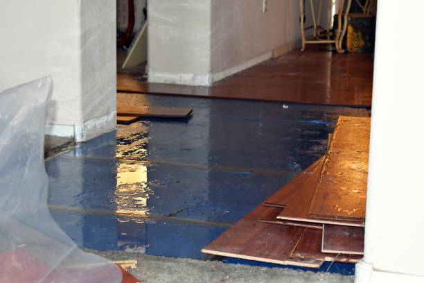 Professional Sewage Cleanup technician working in Channahon, IL